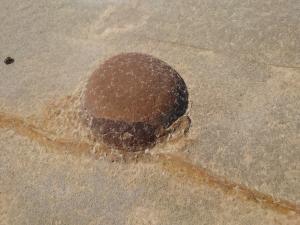 ノジュール（ナキイシ）