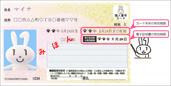 マイナンバーカード(見本)