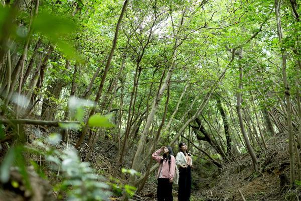 ポータルサイト ~古道で出会う新しい淡路市~