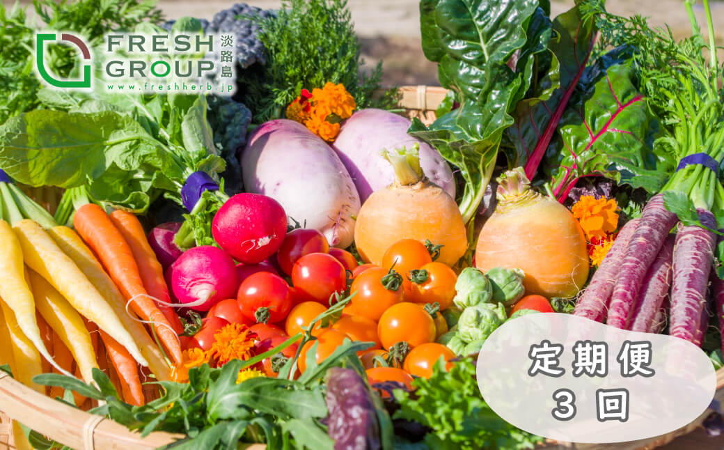 【定期便】彩り野菜と香るハーブセット 3回お届けセット