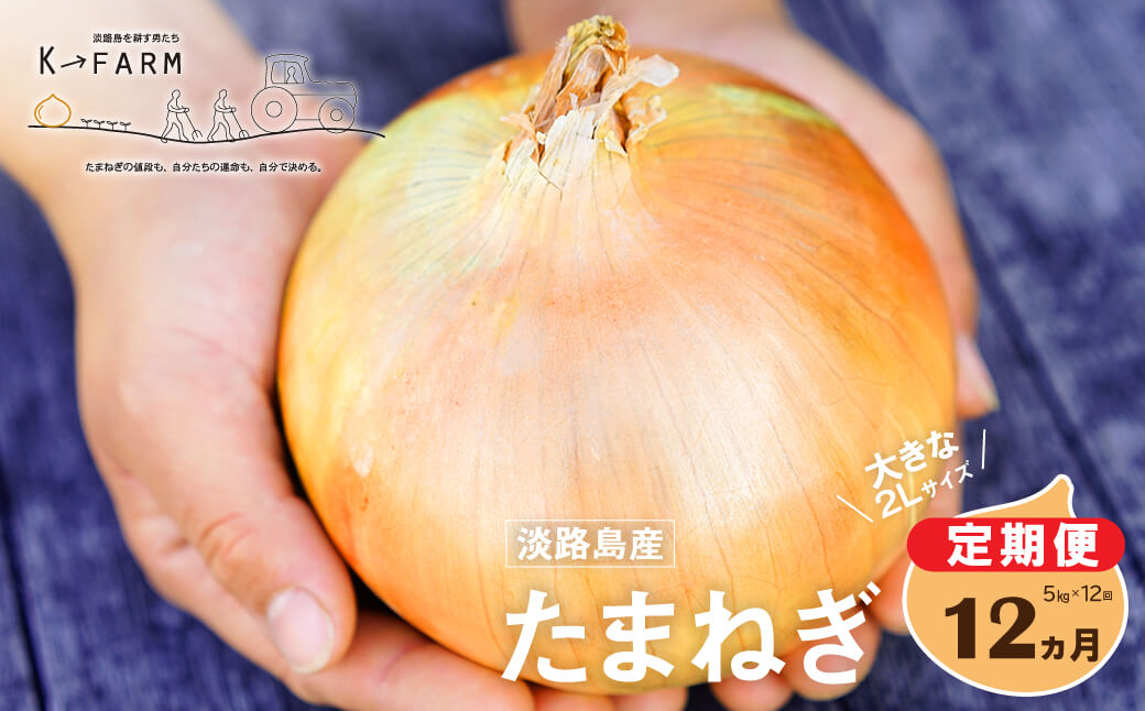 【定期便12ヶ月】淡路島たまねぎ 大きな2Lサイズ 5kg
